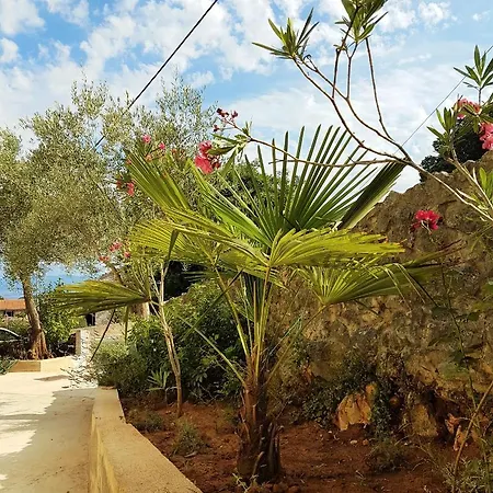 Daire Ljerka