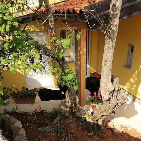 アパート Ljerka *