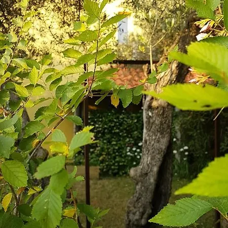 Ljerka アパート マリンスカ