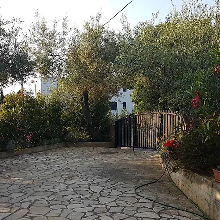 アパート Ljerka マリンスカ