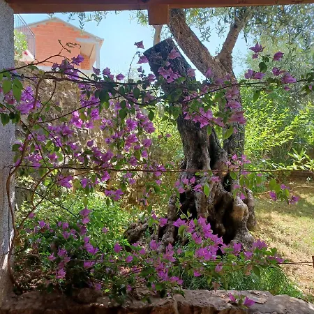 Ljerka アパート マリンスカ