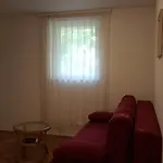 Ljerka Апартаменты *